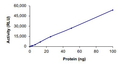 Functional Studies - Recombinant human ALK + EML4 protein (AB190998)