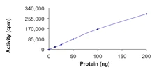 Functional Studies - Recombinant human ALK (mutated F1174L) protein (AB186454)