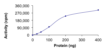 Recombinant human ALK (mutated F1174S) protein (Active)