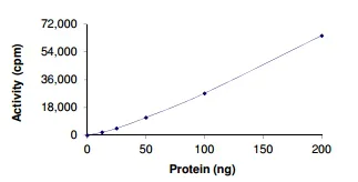 Functional Studies - Recombinant human ALK (mutated G1202R) protein (Active) (AB186458)