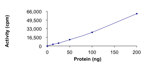 Functional Studies - Recombinant human ALK (mutated G1269A) protein (Active) (AB268319)