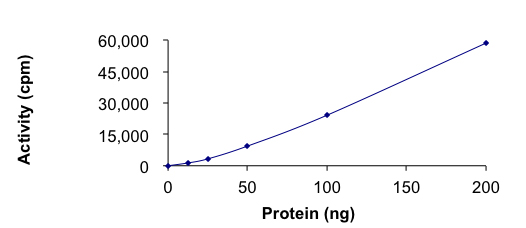 Recombinant human ALK (mutated L1152R) protein (Active)