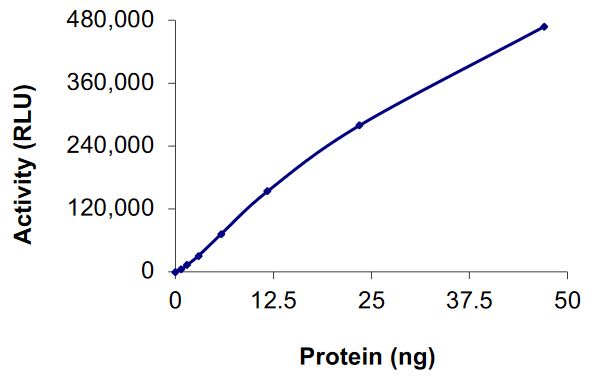Functional Studies - Recombinant human ALK (mutated L1196M + G1202R) protein (Active) (AB268321), expandable thumbnail
