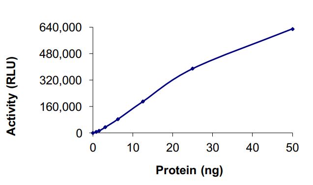 Recombinant human ALK (mutated L1196M) protein (Active)