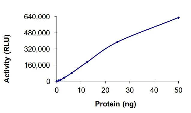 Functional Studies - Recombinant human ALK (mutated L1196M) protein (Active) (AB268322)