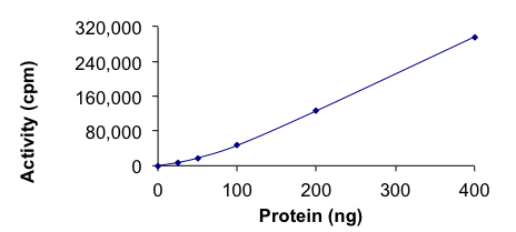 Recombinant human ALK (mutated S1206R) protein (Active)