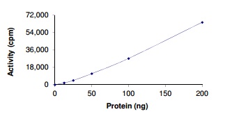 Functional Studies - Recombinant human ALK protein (Active) (AB186458), expandable thumbnail