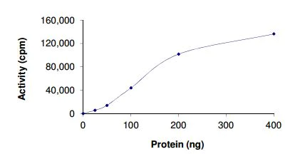 Functional Studies - Recombinant human ALK protein (Active) (AB187246)