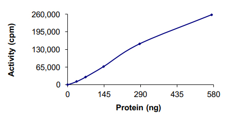 Functional Studies - Recombinant human ALK protein (Active) (AB187246), expandable thumbnail