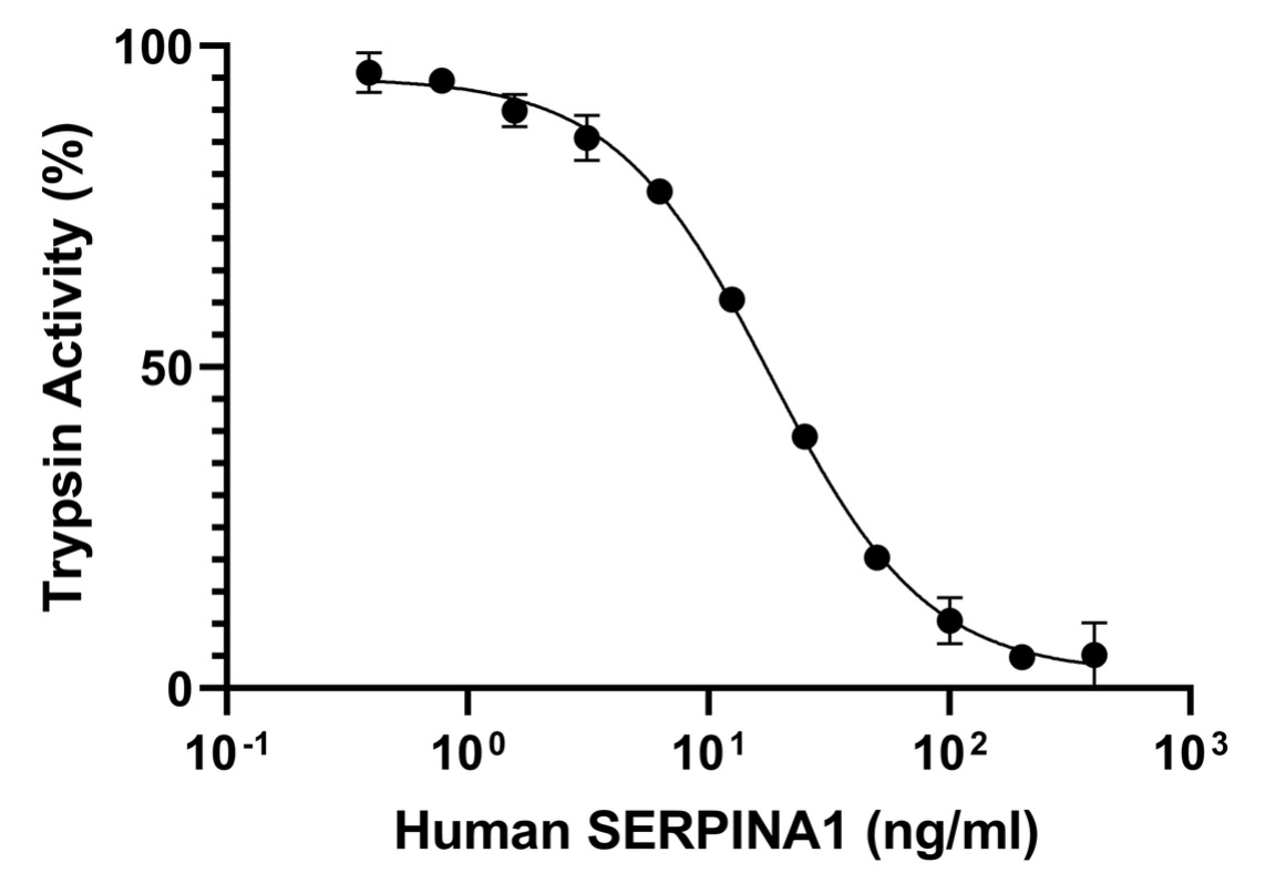Functional Studies - Recombinant human alpha 1 Antitrypsin protein (Active) (AB282404), expandable thumbnail