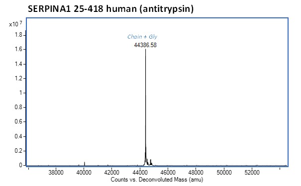 Mass Spectrometry - Recombinant human alpha 1 Antitrypsin protein (Active) (AB282404), expandable thumbnail