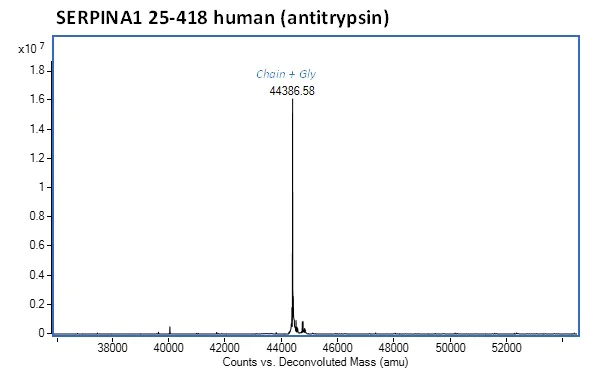 Mass Spectrometry - Recombinant human alpha 1 Antitrypsin protein (Active) (AB282404)