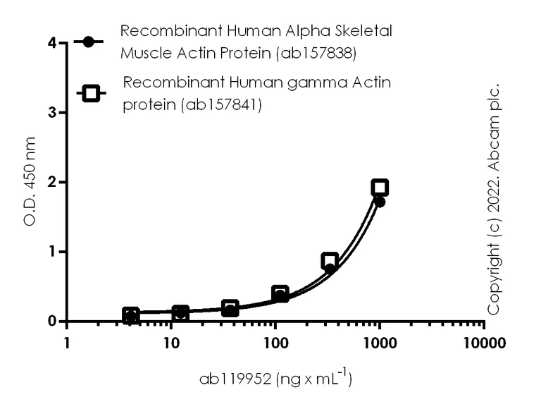 ELISA - Recombinant Human Alpha Skeletal Muscle Actin protein (AB157838)