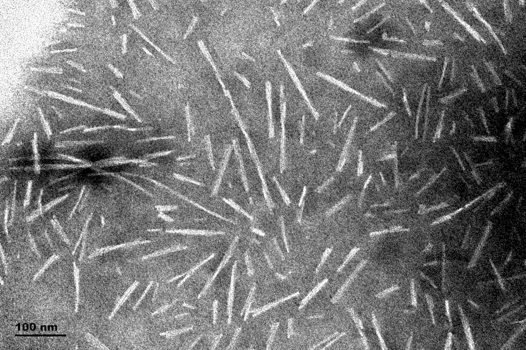 Recombinant Human Alpha-synuclein protein aggregate (Active)