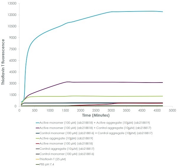 Functional Studies - Recombinant Human Alpha-synuclein protein aggregate (Active) (ab218819), expandable thumbnail