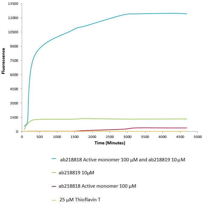 Functional Studies - Recombinant Human Alpha-synuclein protein aggregate (Active) (AB218819), expandable thumbnail