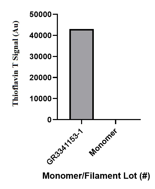 Functional Studies - Recombinant human Alpha-Synuclein protein filament (AB254309)
