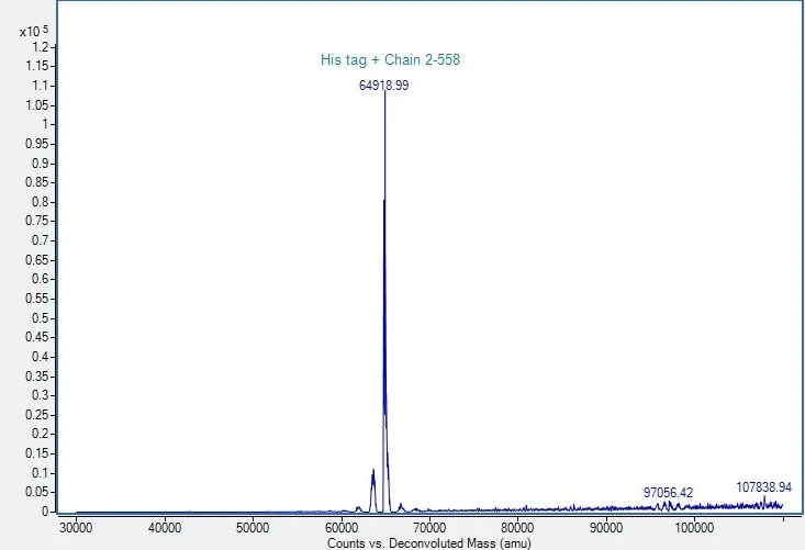 Mass Spectrometry - Recombinant human AMF protein (His tag) (AB318251)