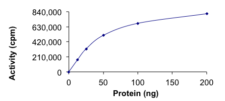 Functional Studies - Recombinant human AMPK alpha 1 + AMPK beta 1 + PRKAG2 protein (Active) (AB268332)