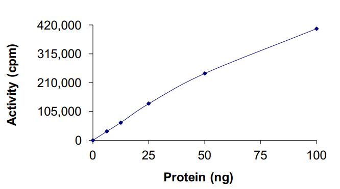 Functional Studies - Recombinant human AMPK alpha 1 + AMPK beta 1 + PRKAG2 protein (Active) (AB268333), expandable thumbnail