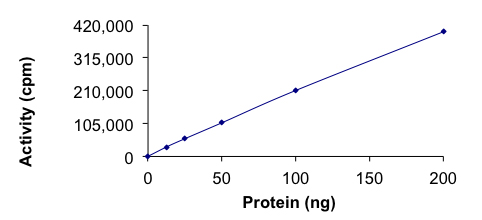 Functional Studies - Recombinant human AMPK alpha 1 + AMPK beta 1 + PRKAG3 protein (Active) (AB268334), expandable thumbnail