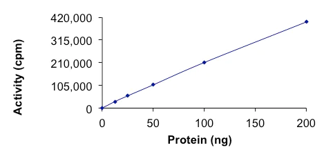 Functional Studies - Recombinant human AMPK alpha 1 + AMPK beta 1 + PRKAG3 protein (Active) (AB268334)