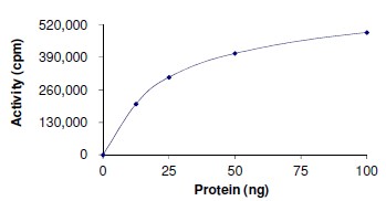 Functional Studies - Recombinant human AMPK alpha 1 + AMPK beta 2 +AMPK gamma 2 protein (Active) (AB184883)