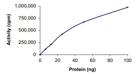 Recombinant human AMPK alpha 1 + AMPK beta 2 +AMPK gamma 2 protein (Active)