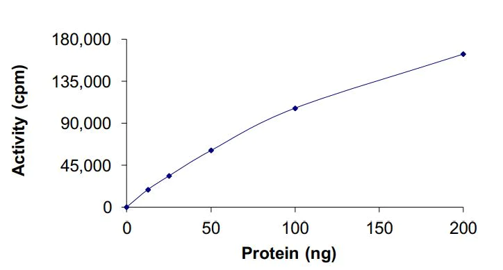 Functional Studies - Recombinant human AMPK alpha 1 + AMPK gamma 1 + AMPK beta 2/PRKAB2 protein (Active) (AB268336)
