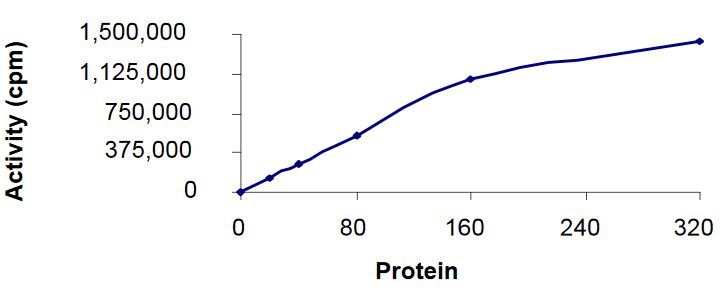 Recombinant human AMPK alpha 1 + AMPK gamma 1 + AMPK beta 2/PRKAB2 protein (Active)