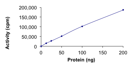Functional Studies - Recombinant human AMPK alpha 2 + AMPK beta 2/PRKAB2 + PRKAG2 protein (Active) (AB268341)