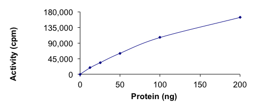 Recombinant human AMPK alpha 2 + AMPK gamma 1 + AMPK beta 2/PRKAB2 protein (Active)