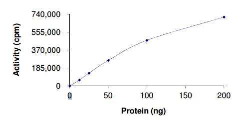 Functional Studies - Recombinant human AMPK alpha 2 + beta 1 + gamma 2 protein (AB185258), expandable thumbnail