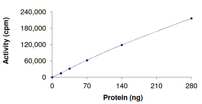 Functional Studies - Recombinant human AMPK alpha 2 + PRKAG3 + AMPK beta 2/PRKAB2 protein (Active) (AB268342)
