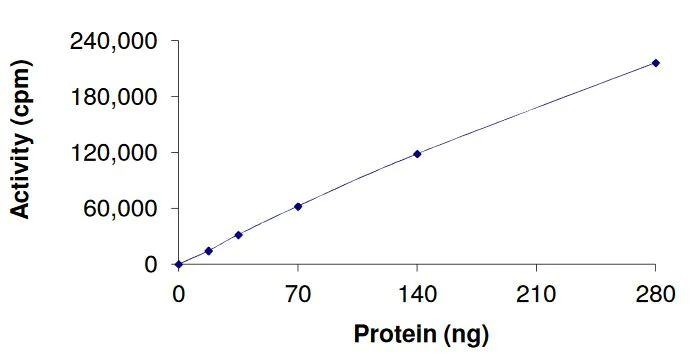 Functional Studies - Recombinant human AMPK alpha 2 + PRKAG3 + AMPK beta 2/PRKAB2 protein (Active) (AB268342)