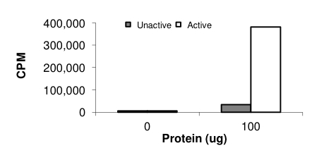 Functional Studies - Recombinant Human AMPK alpha 2+AMPK beta 1+AMPK gamma 1 protein (AB177266)
