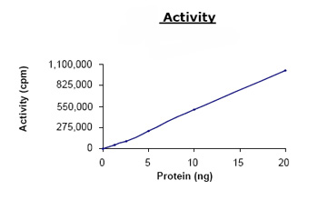 Functional Studies - Recombinant human AMPK alpha1 + AMPK beta1 + AMPK gamma1 protein (AB79803)