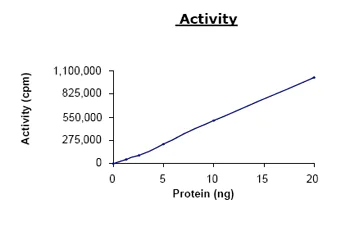 Functional Studies - Recombinant human AMPK alpha1 + AMPK beta1 + AMPK gamma1 protein (AB79803)