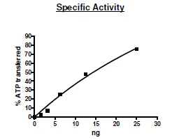 Functional Studies - Recombinant human AMPK alpha1 + AMPK beta1 + AMPK gamma1 protein (His tag C-Terminus) (AB271362)
