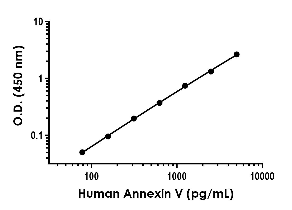 Sandwich ELISA - Recombinant Human Annexin V Protein Standard (His tag) (AB316440), expandable thumbnail