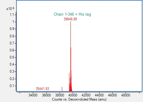 Mass Spectrometry - Recombinant Human ANXA1 Protein (His-tag) (AB317875)
