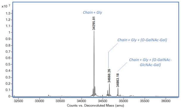 Mass Spectrometry - Recombinant human Apolipoprotein E3 (AB280330)
