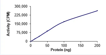 Functional Studies - Recombinant human ARK5 protein (AB125626)