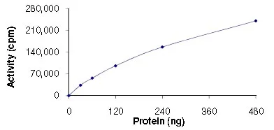Functional Studies - Recombinant human ARK5 protein (GST tag N-Terminus) (AB125626)