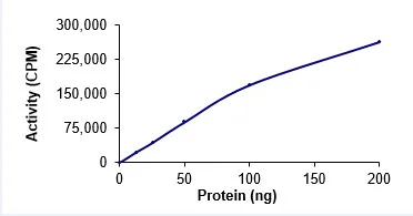 Functional Studies - Recombinant human ARK5 protein (GST tag N-Terminus) (AB125626)