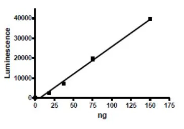 Functional Studies - Recombinant human ARTD10 protein (DDDDK N-Terminus + Strep C-Terminus) (AB271650)