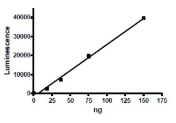 Functional Studies - Recombinant human ARTD10 protein (DDDDK tag N-Terminus) (AB271650)