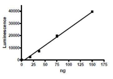 Functional Studies - Recombinant human ARTD10 protein (Tagged) (AB271650)