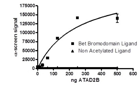 Recombinant human ATAD2B protein