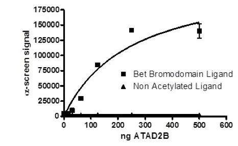 Functional Studies - Recombinant human ATAD2B protein (GST tag N-Terminus) (AB198150)